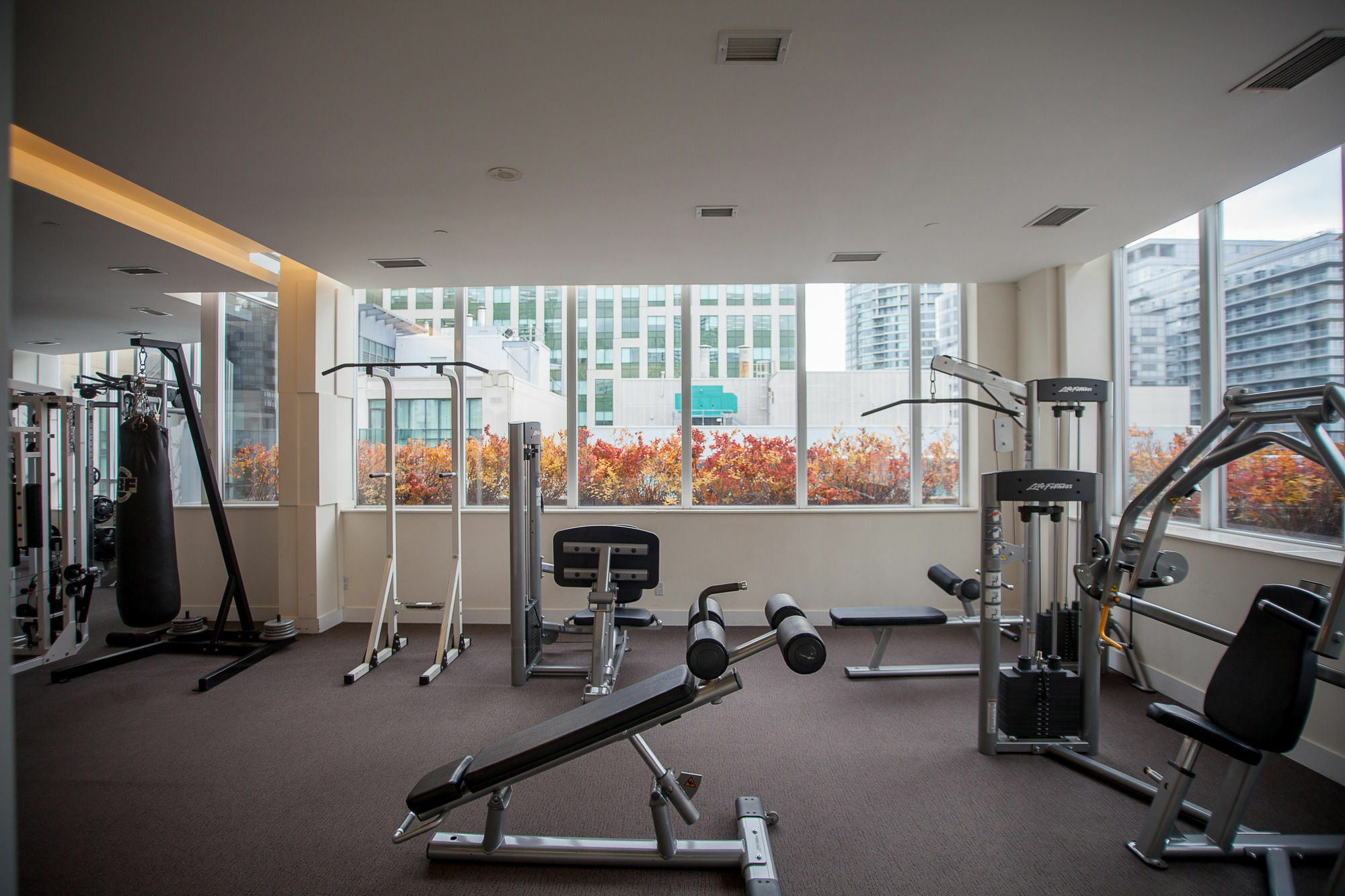Red Maple Suites - Icon Toronto Eksteriør billede